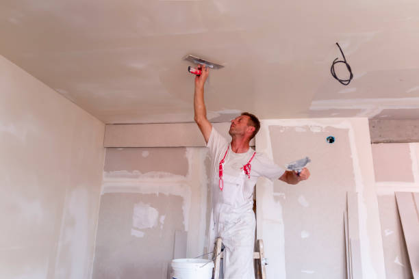 Best Expert Drywall Texturing  in USA